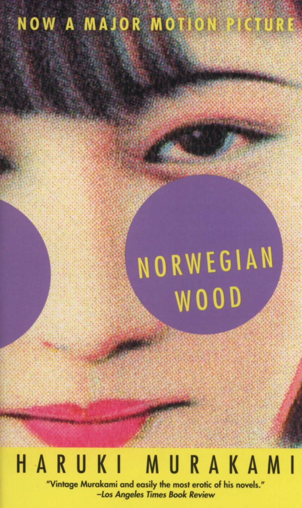 book review of norwegian wood