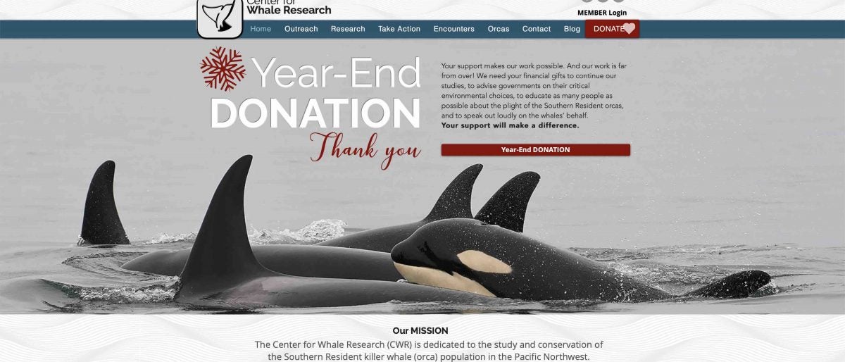 Permalink to: Center for Whale Research