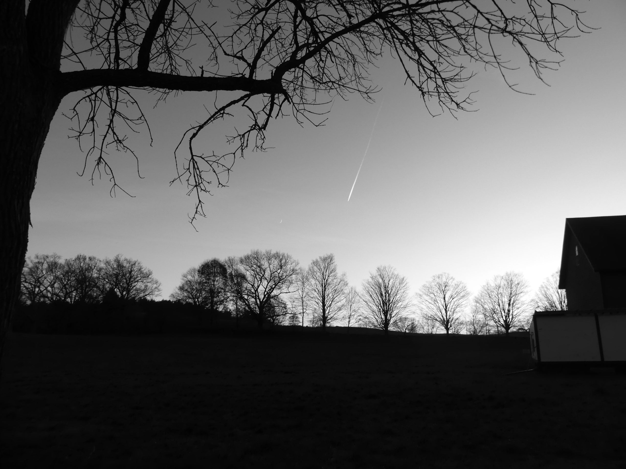Trees' shadows are situated atop a hill, with a faint streak of light in the sky next to the moon