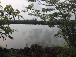Holy pond at the temple I visited on my birthday. It is at the highest point in the town, yet never dres up, even in the summer