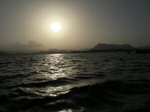 IMG_3117 2